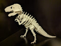 T-Rex Skeleton Kit Card