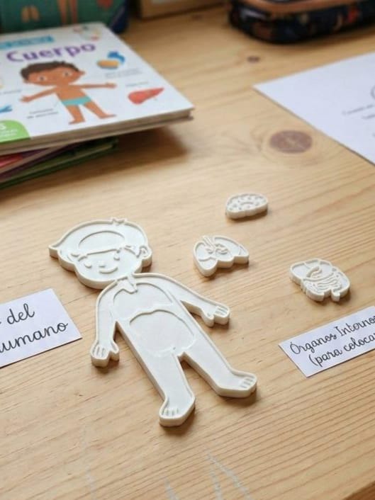Kids' Educational Human Body