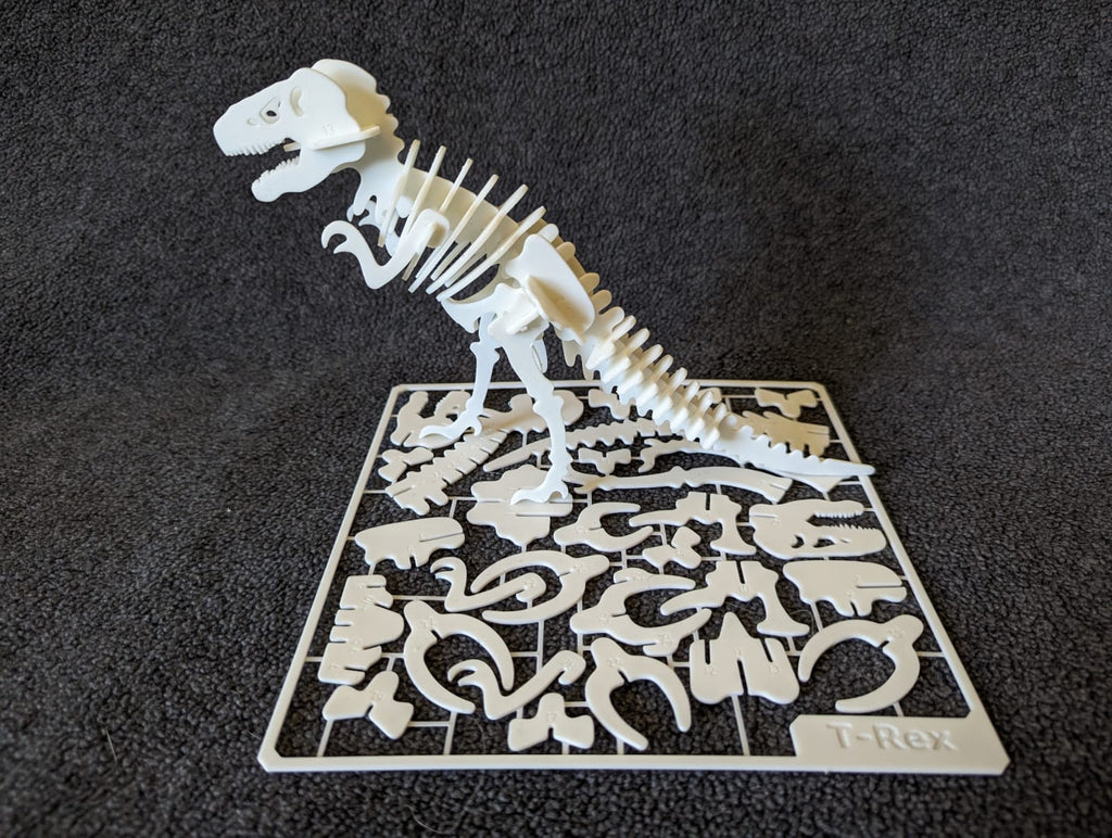 T-Rex Skeleton Kit Card