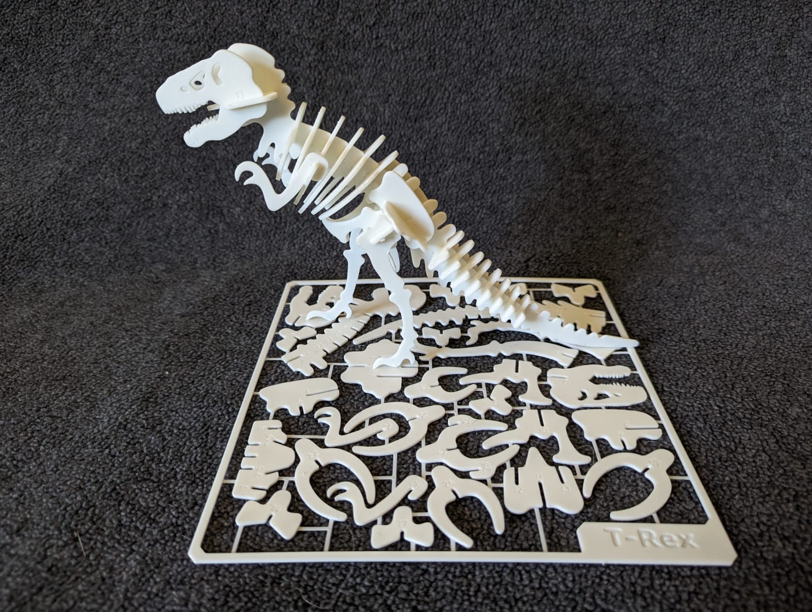 T-Rex Skeleton Kit Card