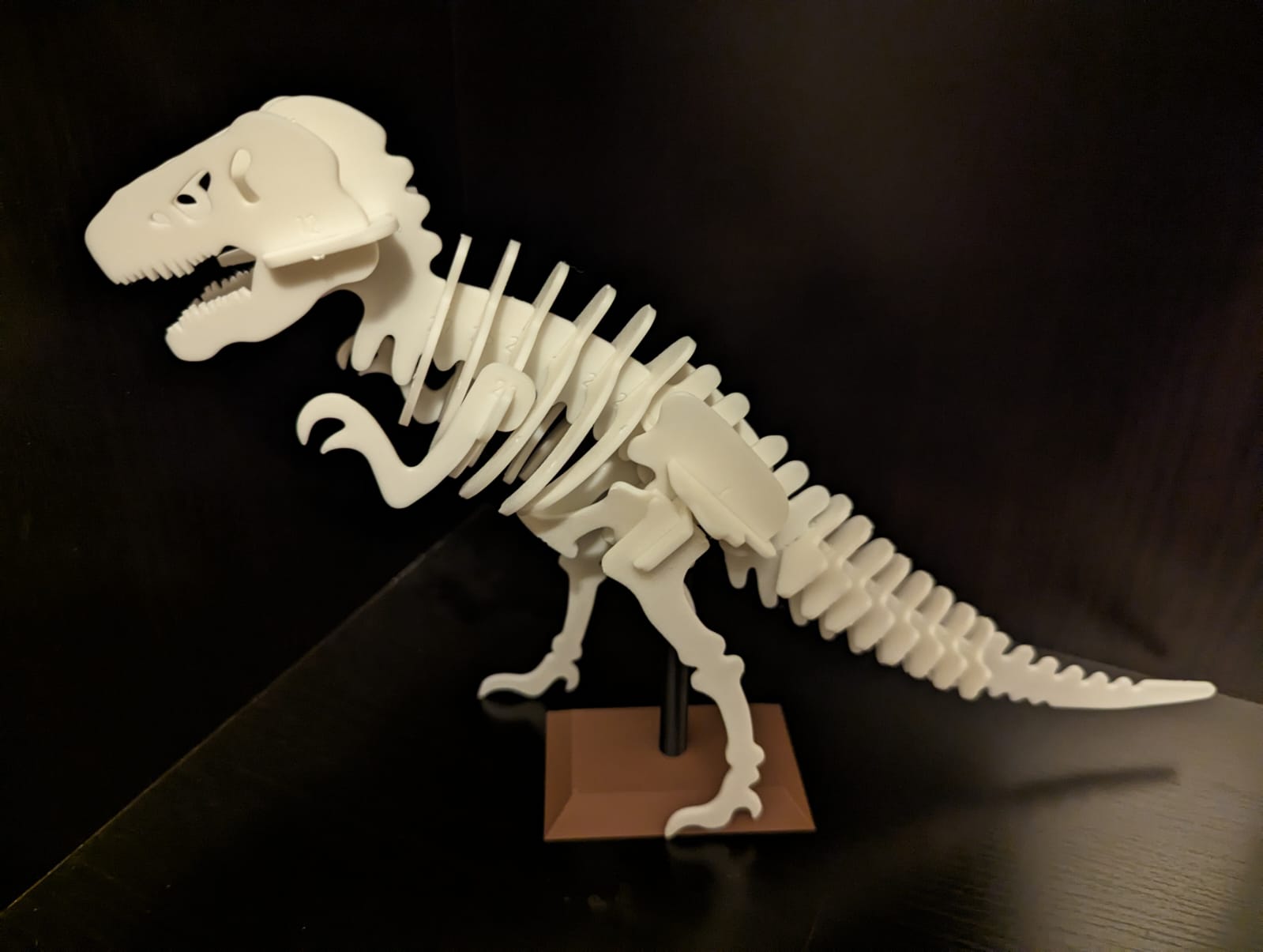 T-Rex Skeleton Kit Card