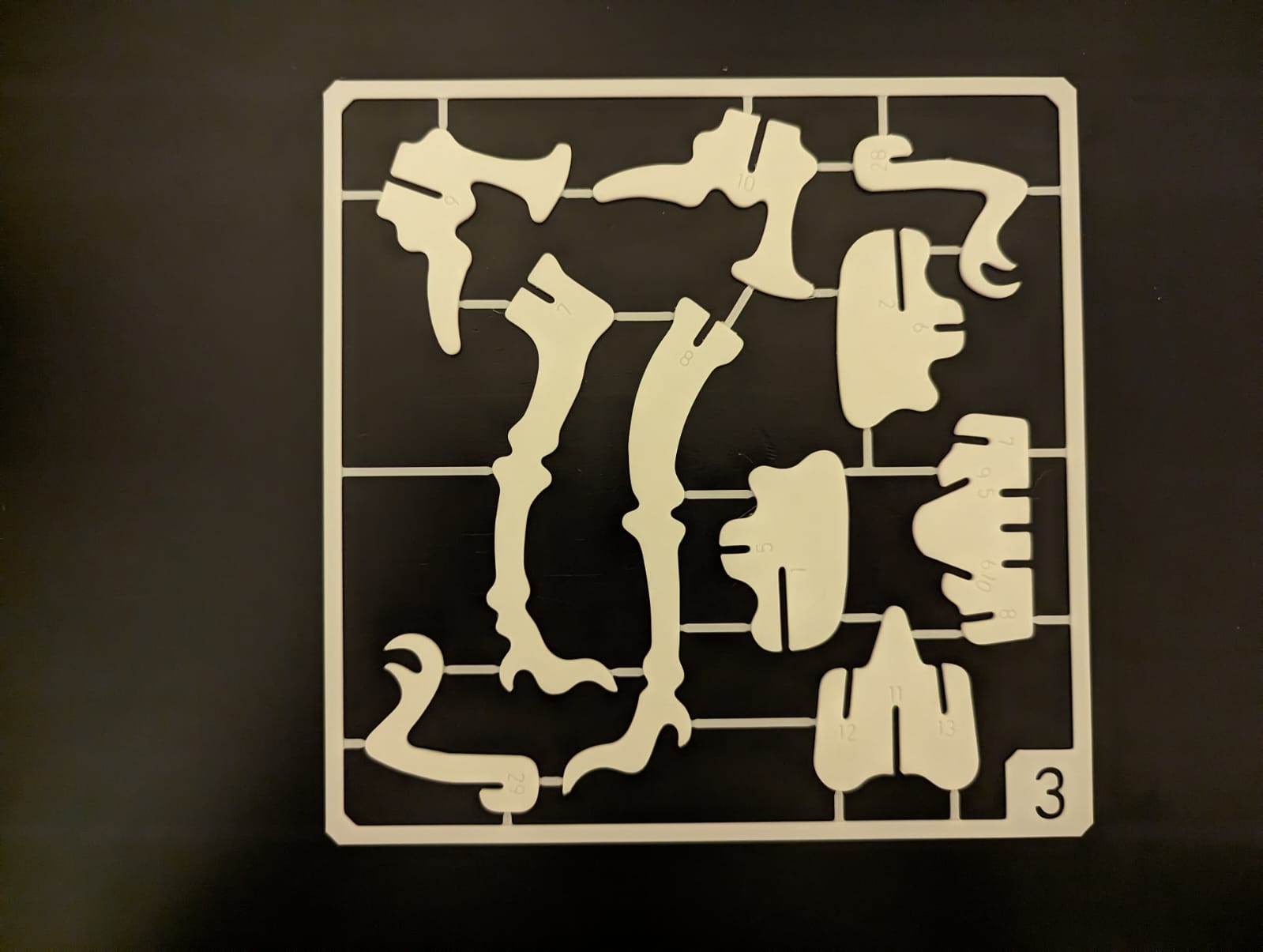 T-Rex Skeleton Kit Card