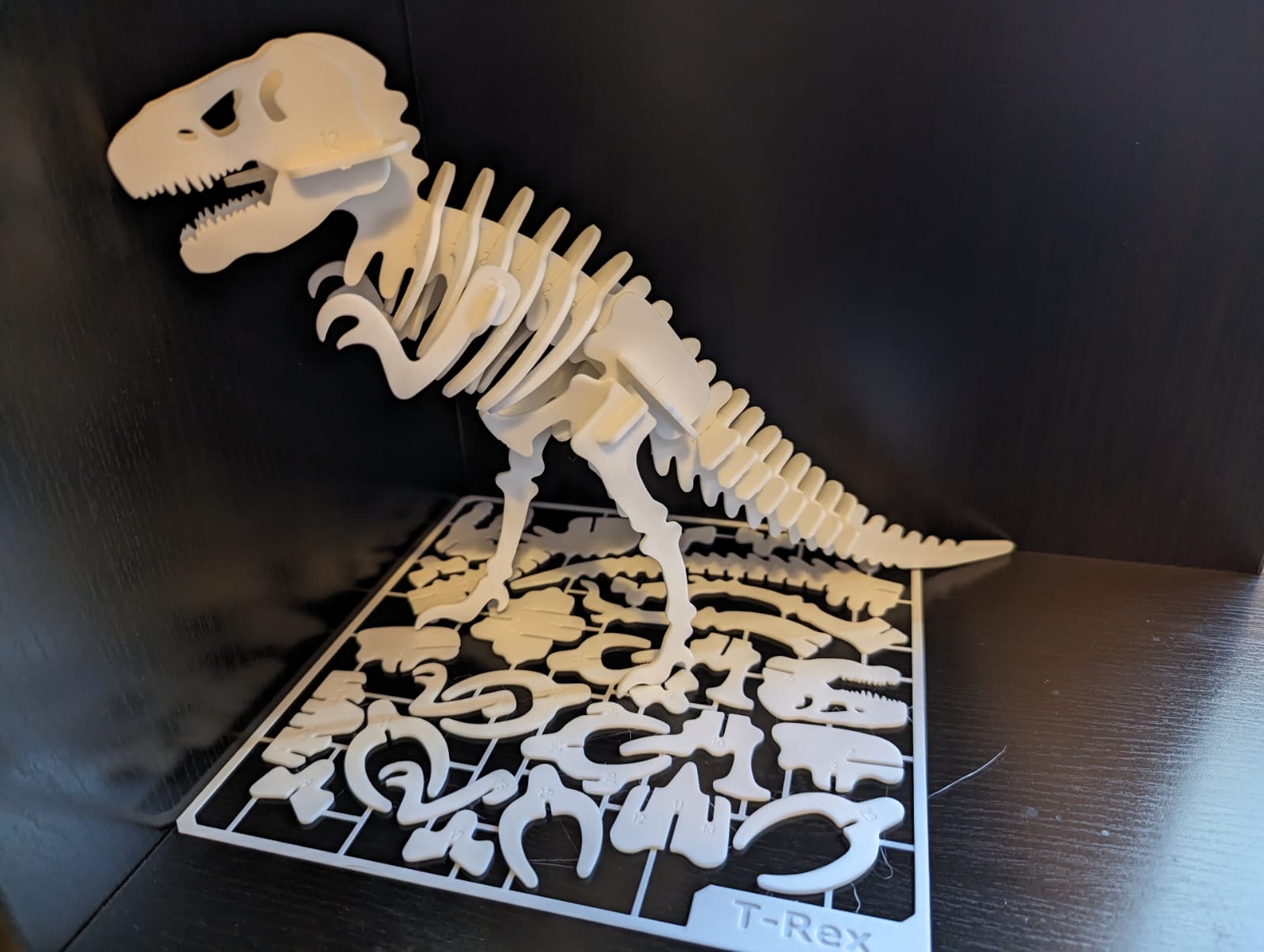 T-Rex Skeleton Kit Card