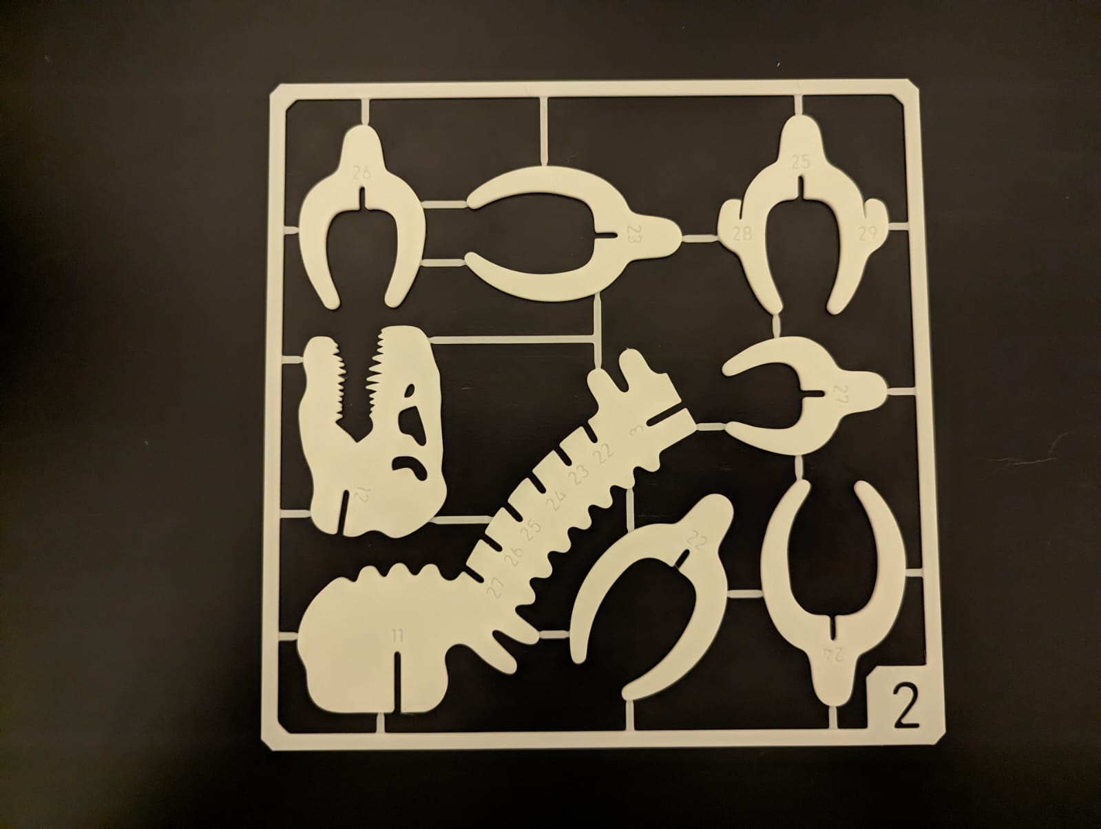 T-Rex Skeleton Kit Card