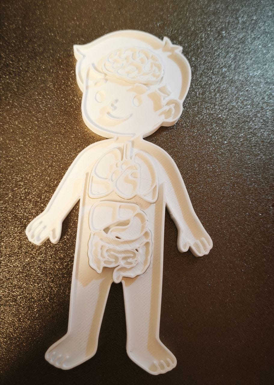 Kids' Educational Human Body