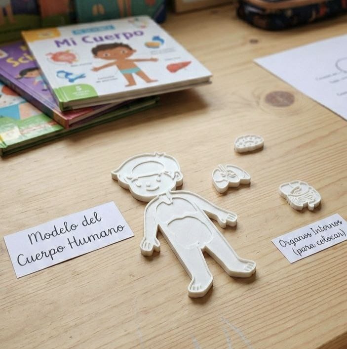 Kids' Educational Human Body