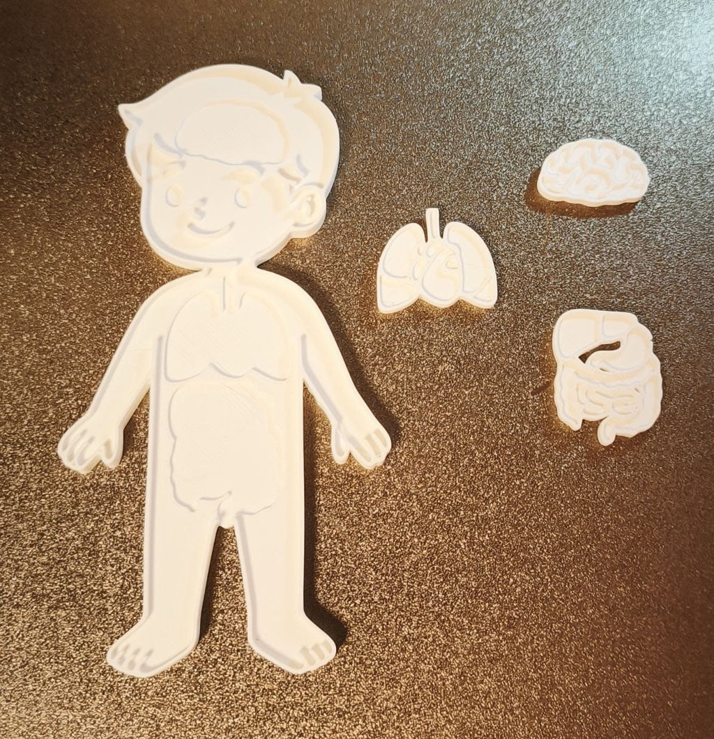 Kids' Educational Human Body