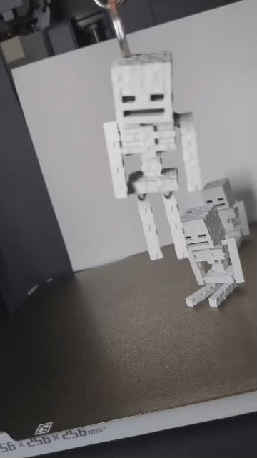 Minecraft Skeleton -